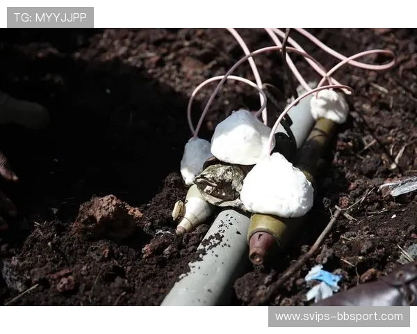 游戏中的C4炸弹威力解析与现实中炸药的对比分析